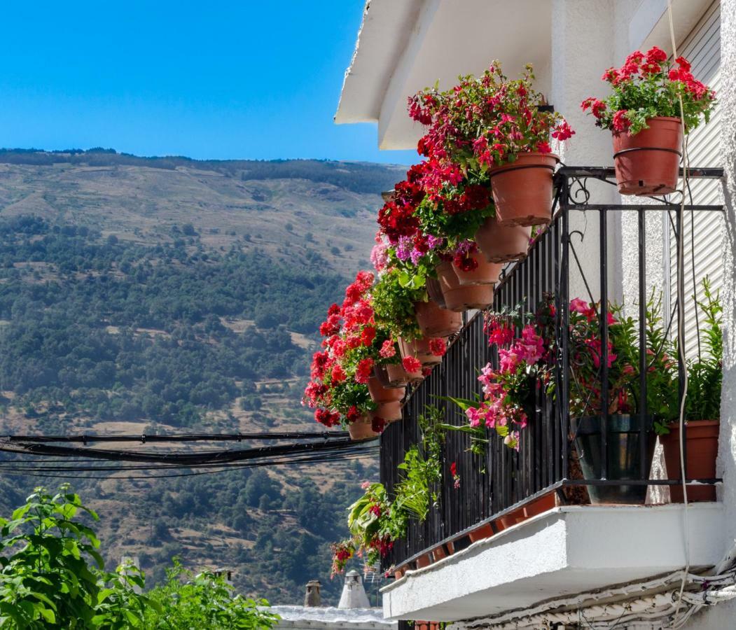Casa Cecilia Apartment Bubion Exterior photo